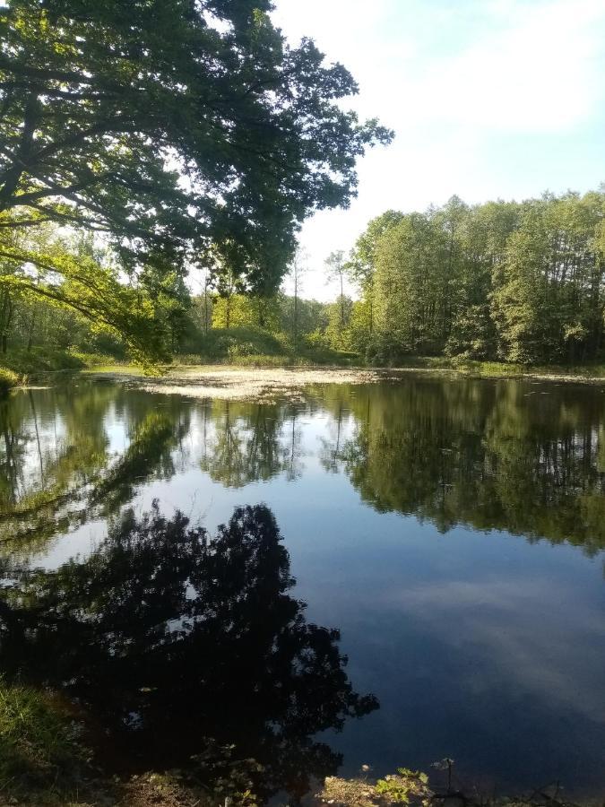 Apartmány Kohoutek a Slepička v Novohradských horách Nové Hrady Exterior foto